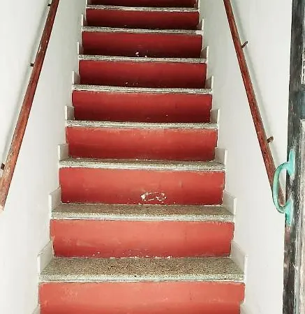 Ferret Apartment *